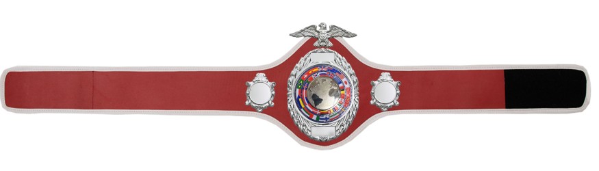 CHAMPIONSHIP BELT PRO288/S/FLAGS - AVAILABLE IN 10 COLOURS CHAMPIONSHIP BELT PRO288/S/FLAGS - AVAILABLE IN 10 COLOURS
